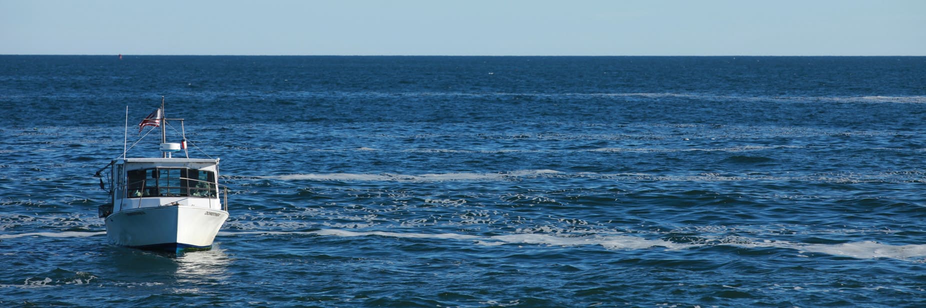 fishing charter fishing charter